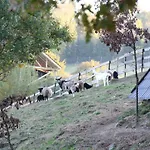 Siedlisko Farmház Gizewo