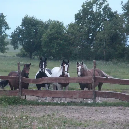 Siedlisko * Gizewo
