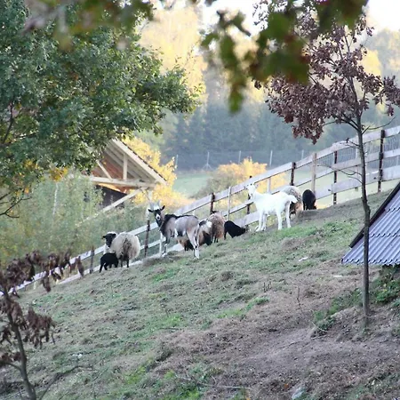 Siedlisko Farm stay Gizewo